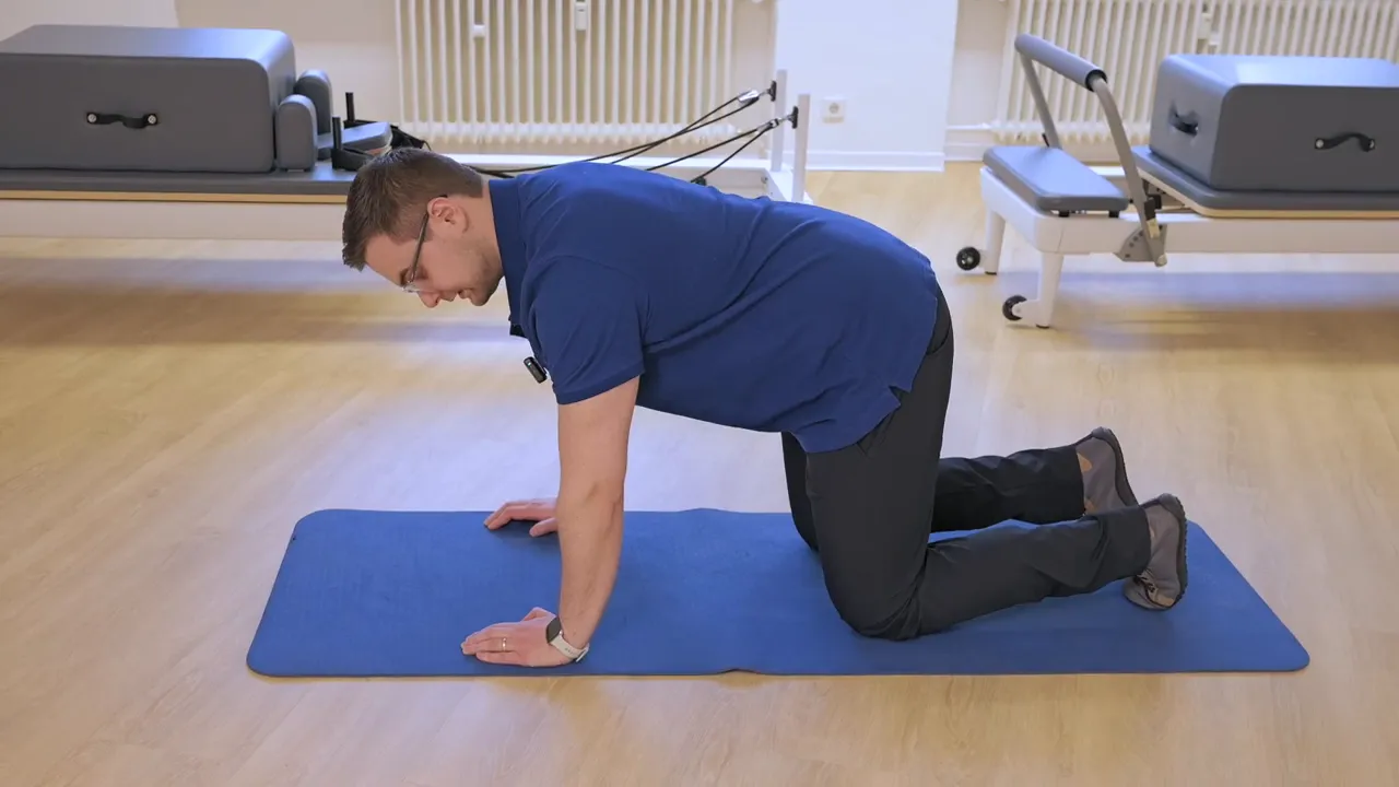 Demonstration der Ausgangsposition für die Serratus‑anterior Aktivierung im Vierfüßlerstand, Hände unter den Schultern