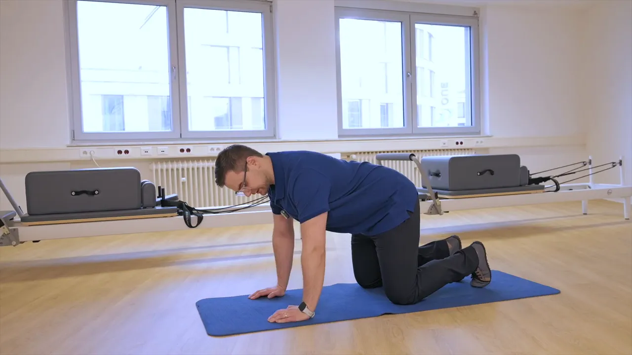 Demonstration der Planke aus dem Vierfüßlerstand: Hände direkt unter den Schultern, Rücken neutral, Knie auf der Matte