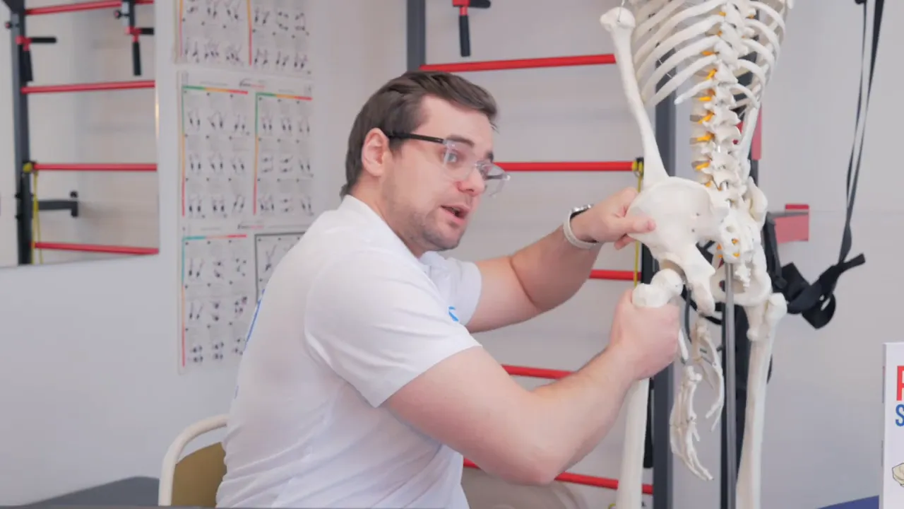 Nahaufnahme eines Skelettmodells: Therapeut hält Hüftgelenk und Oberschenkelknochen