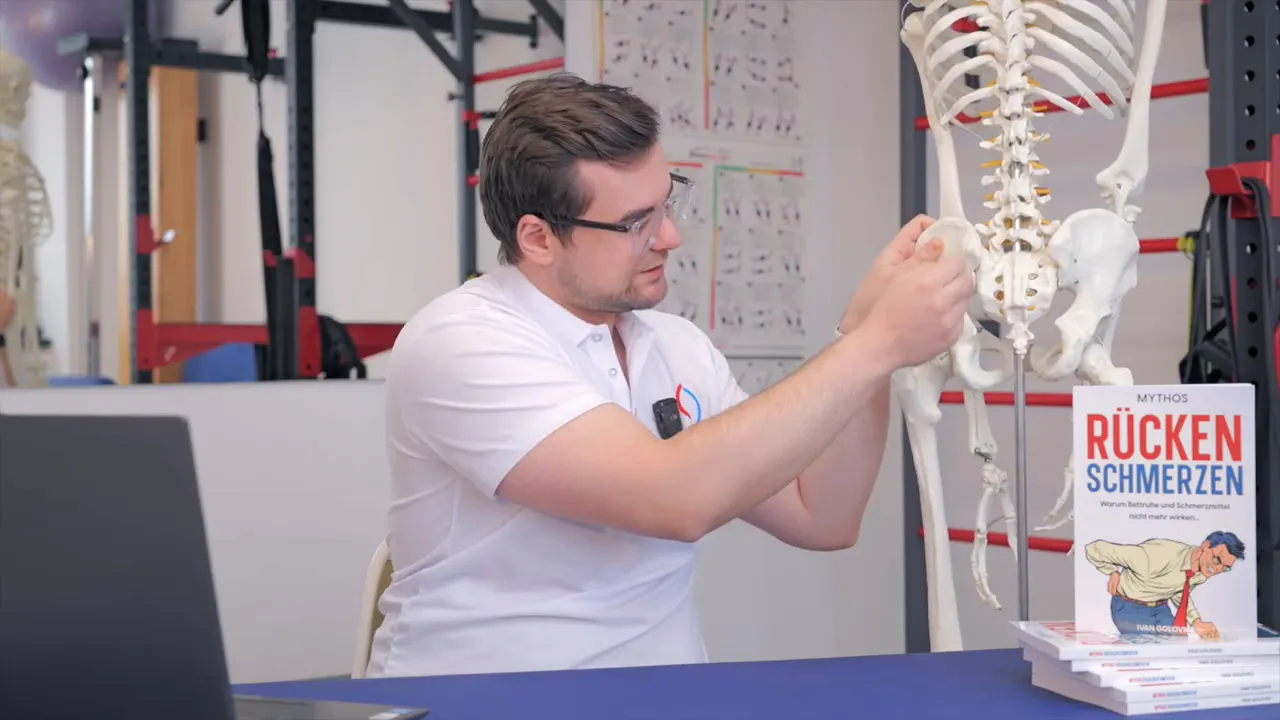 Therapeut demonstriert Hüftkopf und Beckenbewegung am anatomischen Skelettmodell