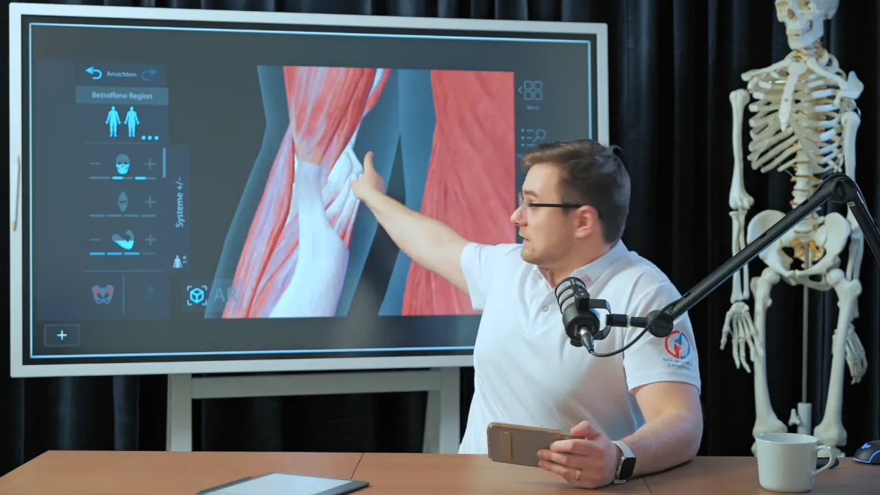 Therapeut zeigt mit ausgestrecktem Arm auf eine große anatomische Darstellung von Muskeln und Sehnen an der Innenseite des Ellenbogens auf einem Bildschirm.