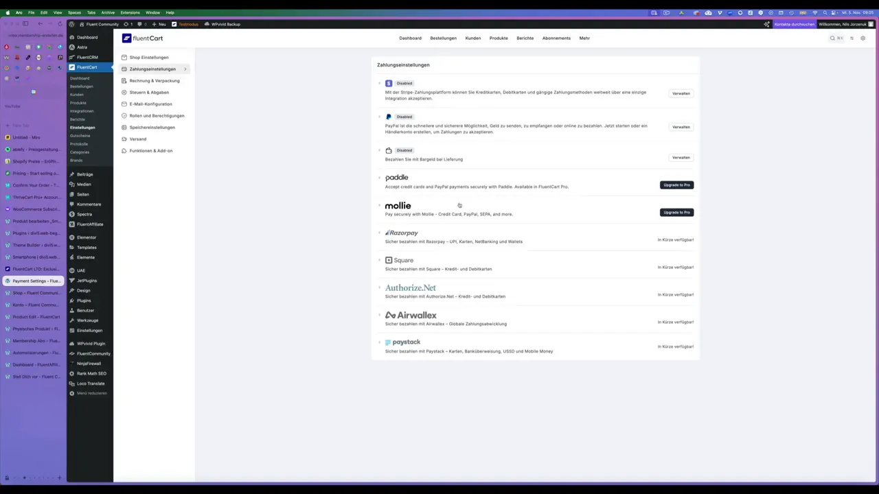 Fluent Cart E-Commerce Plugin Zahlungseinstellungen Stripe Paypal