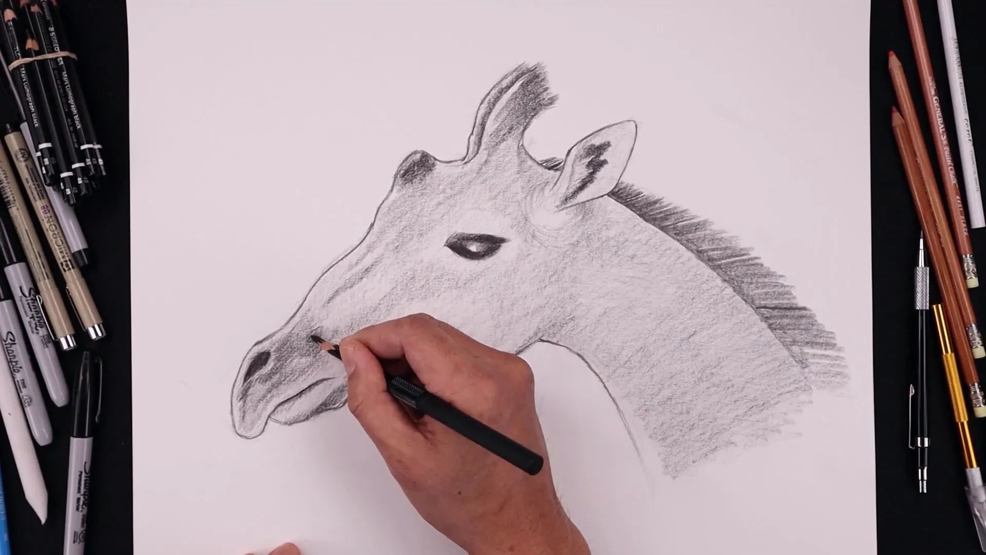 Drawing the giraffe's mane and spots