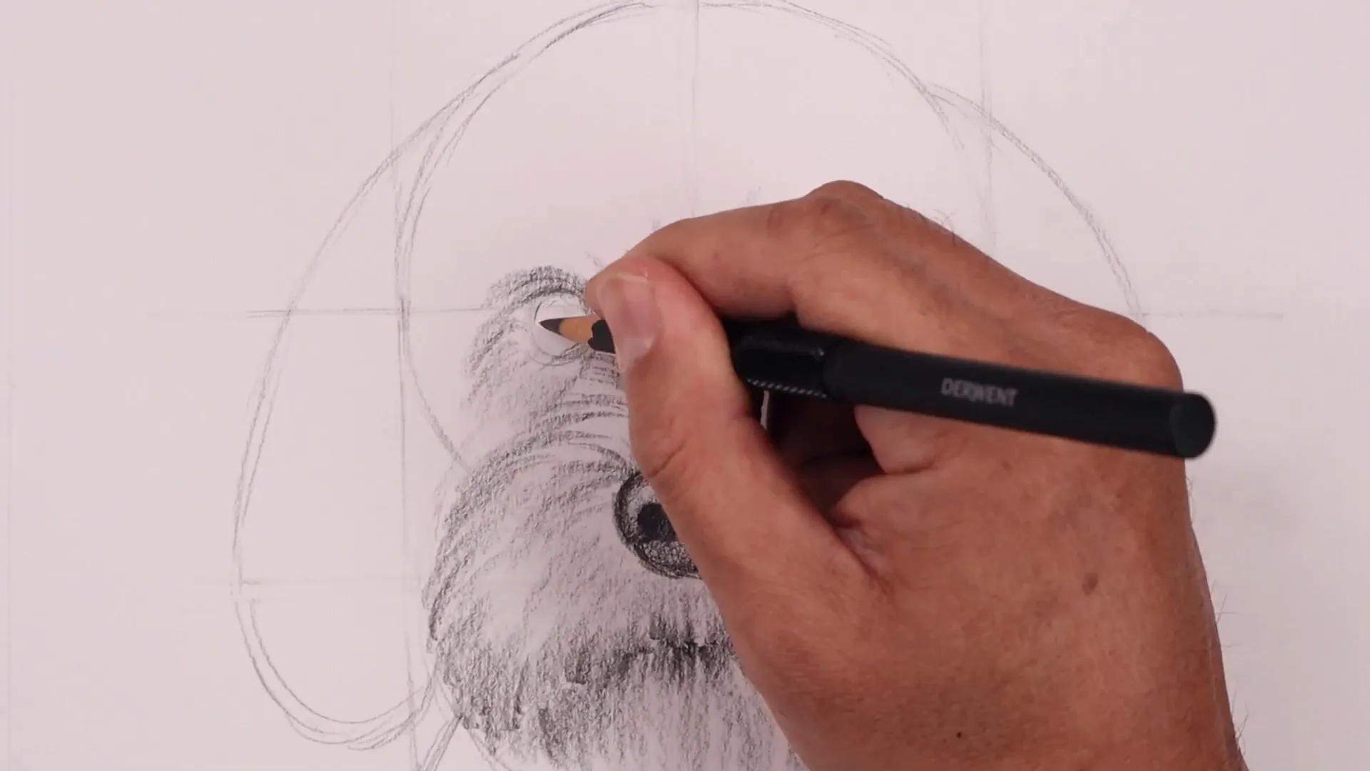 Drawing the eyes and surrounding fur