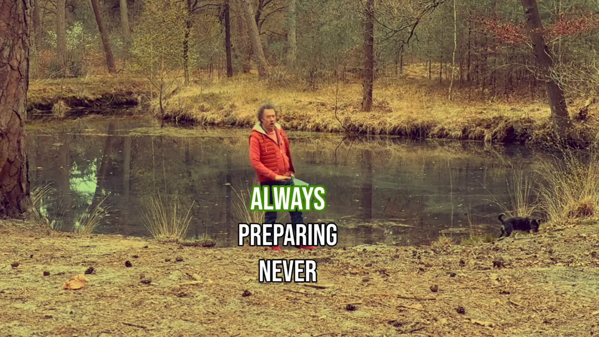 Perpetual Planning Paula