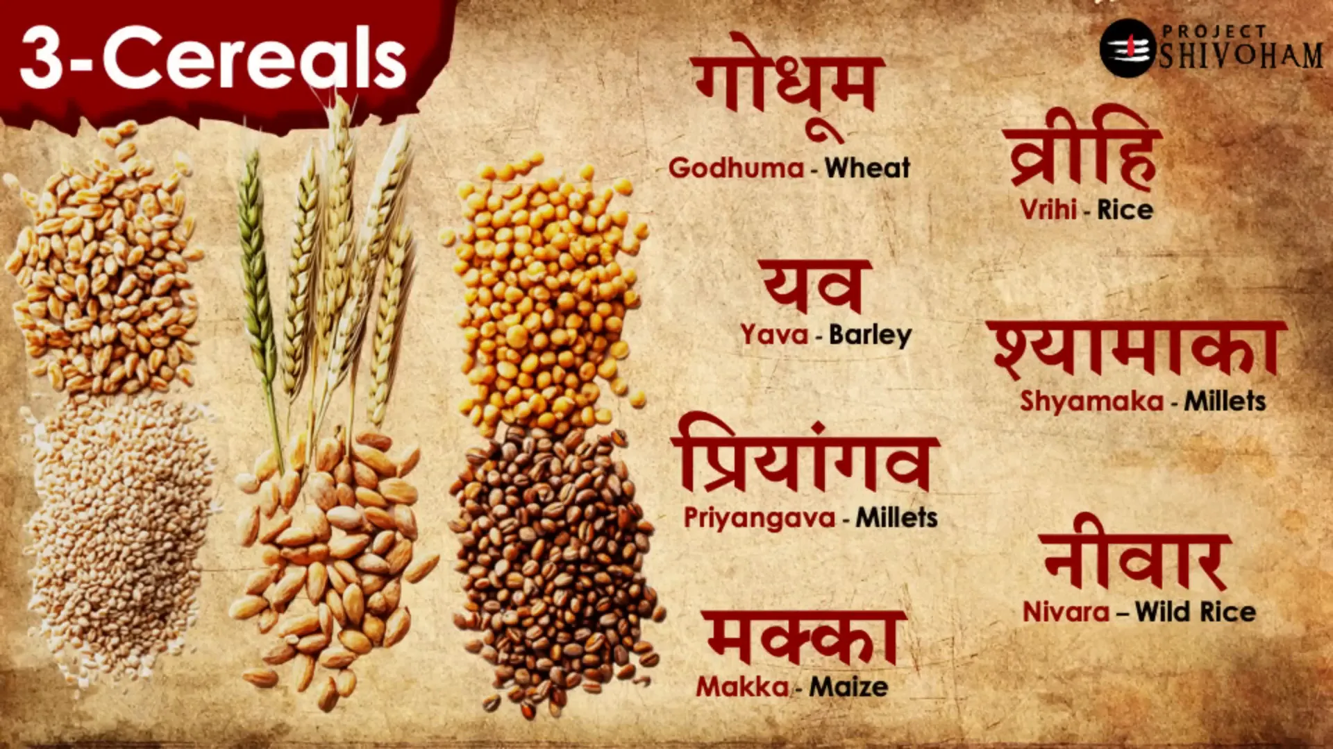 Cereals cultivated in ancient Bharat