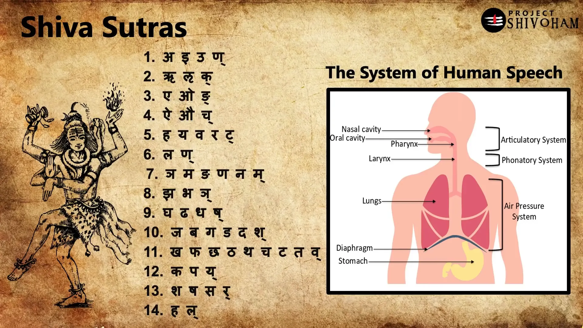 Visual representation of language evolution in India
