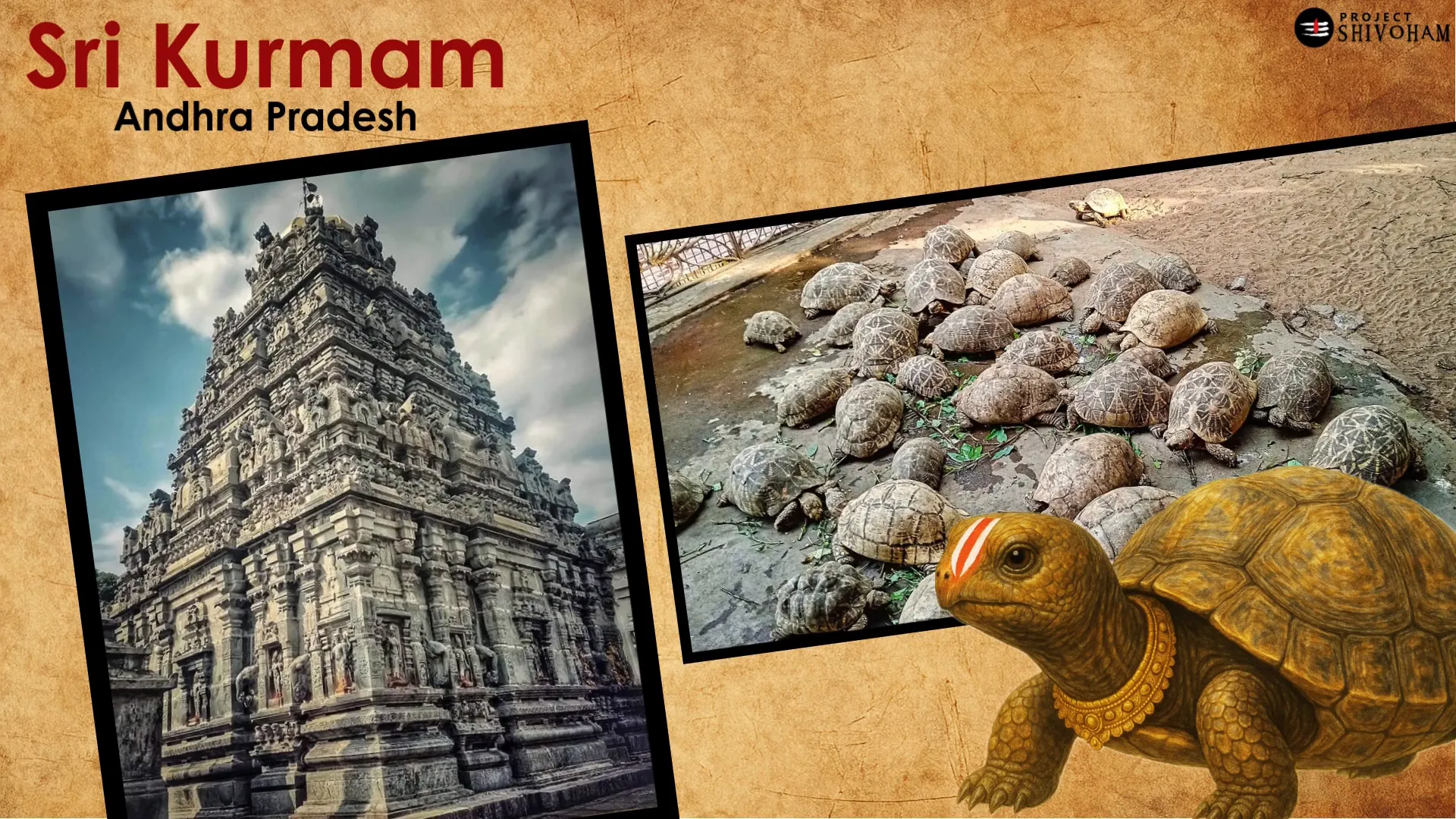 Interior of the Srikurmam sanctum (symbolic view)