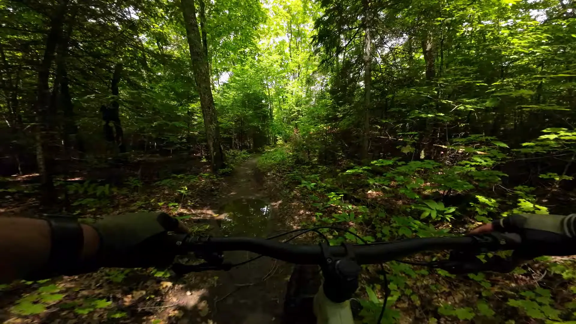 Muddy trail conditions