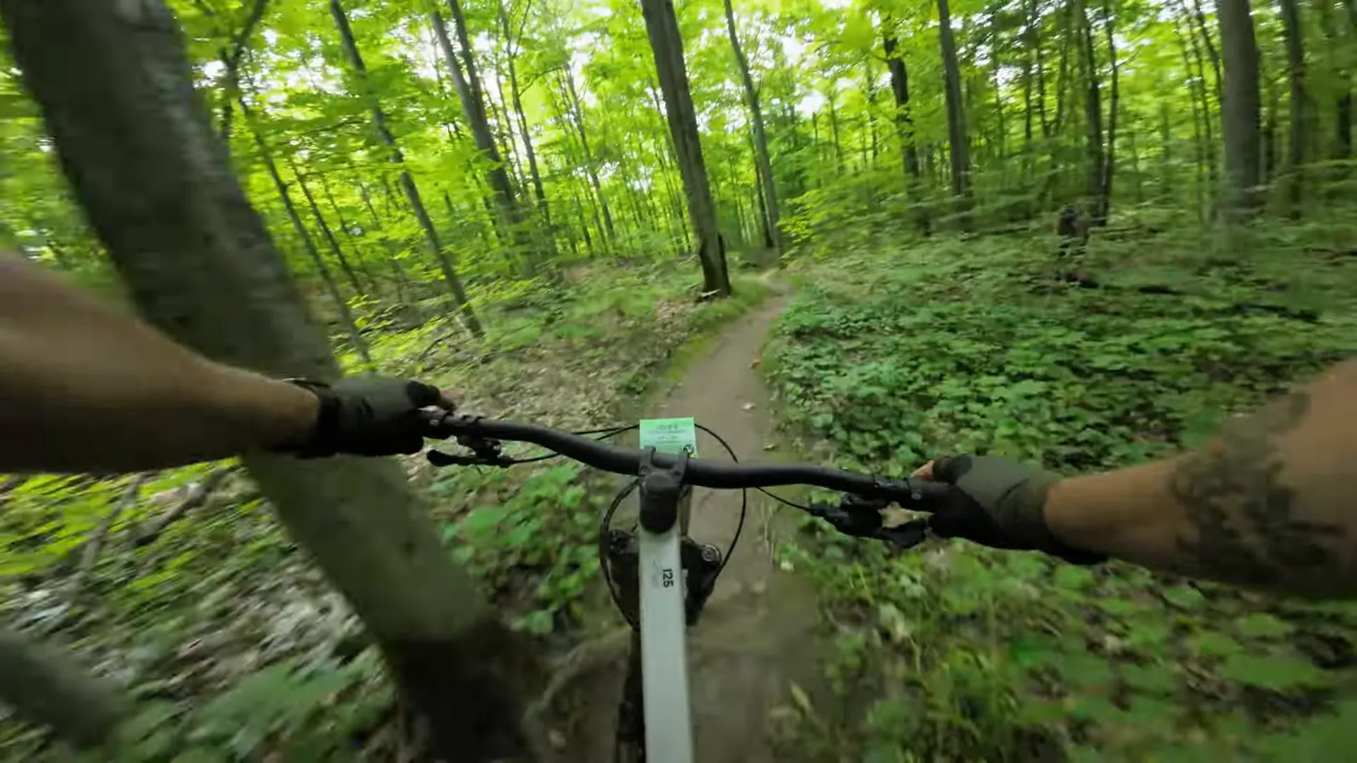 Descending the trails at Hardwood Hills