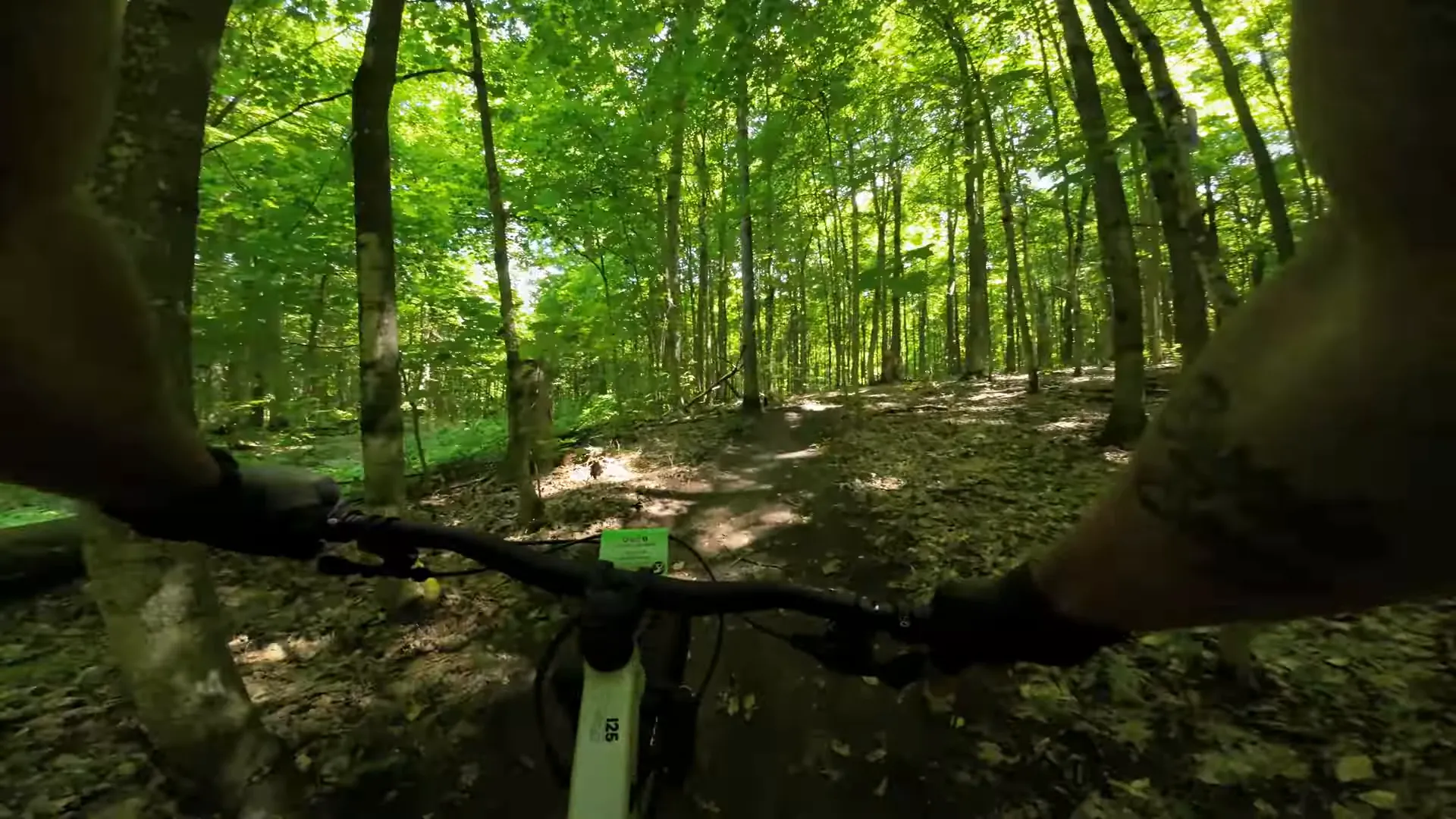 Climbing through the trails at Hardwood Hills