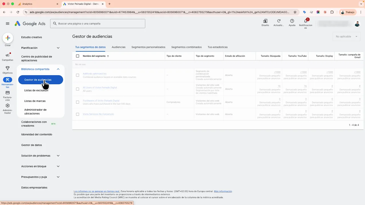 Gestor de audiencias en Google Ads mostrando las audiencias/segmentos de datos