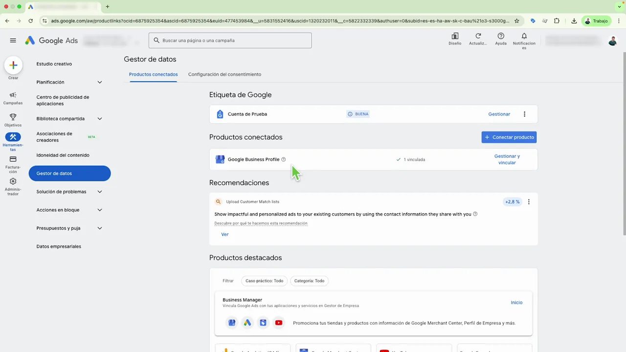 Pantalla de Google Ads - Gestor de datos mostrando Productos conectados y Google Business Profile vinculado