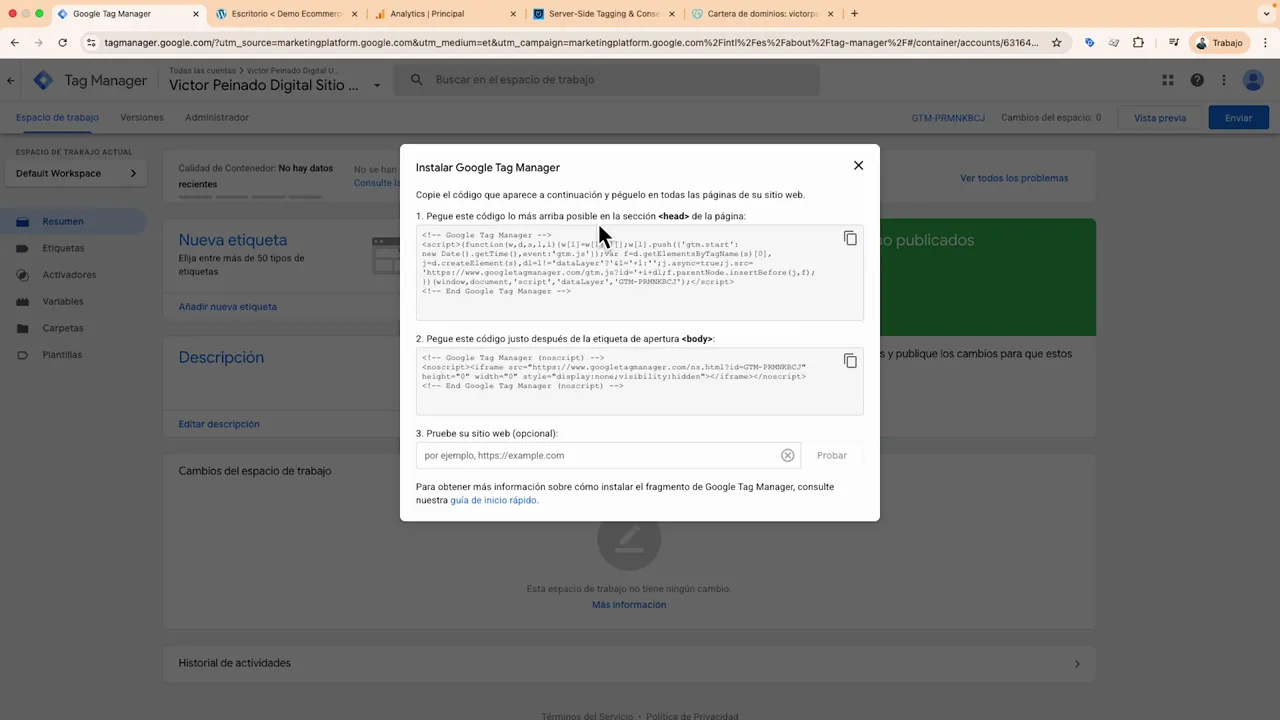Ventana con el código del contenedor GTM y el ID en la parte superior