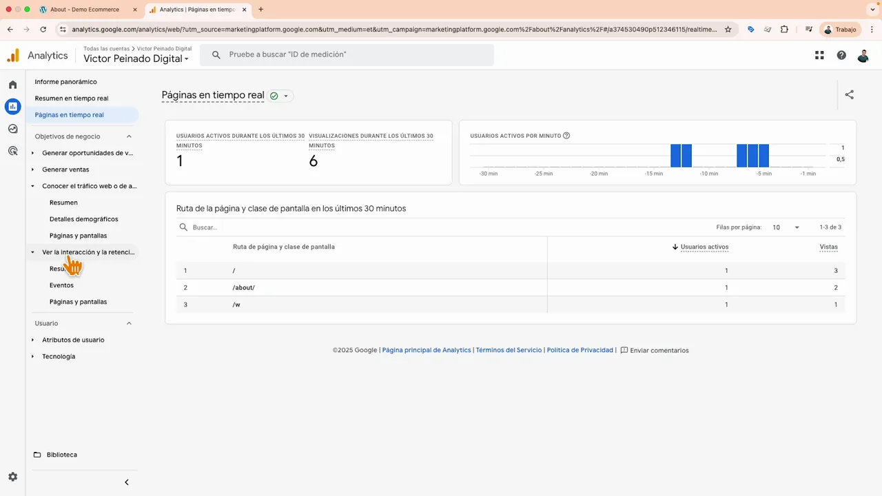 Pantalla de Google Analytics - Páginas en tiempo real mostrando usuarios activos, visualizaciones y ruta de la página