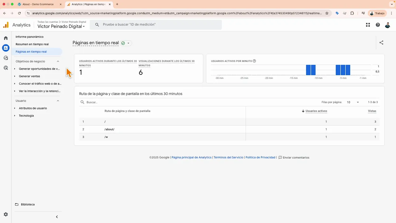 Informe Páginas en tiempo real de Google Analytics mostrando usuarios activos, visualizaciones y la tabla de rutas de página.