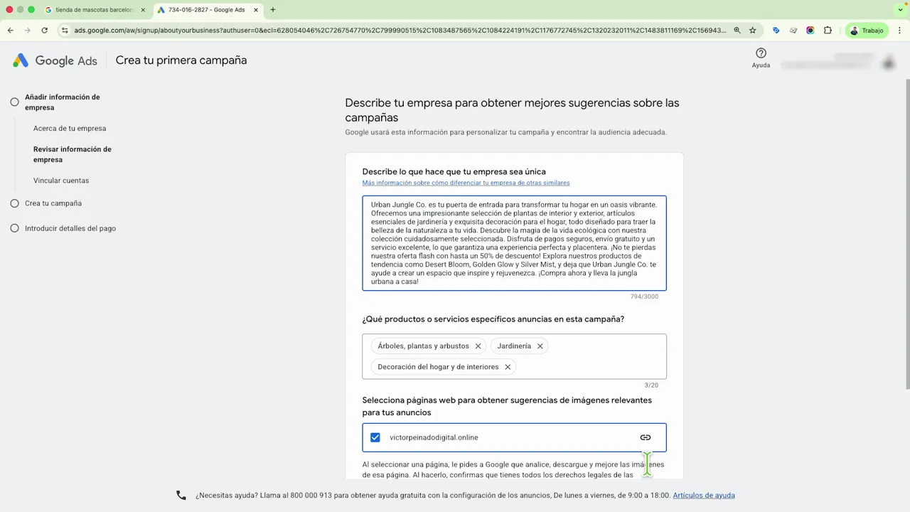 Configuración de Google Ads para describir tu empresa y elegir categorías