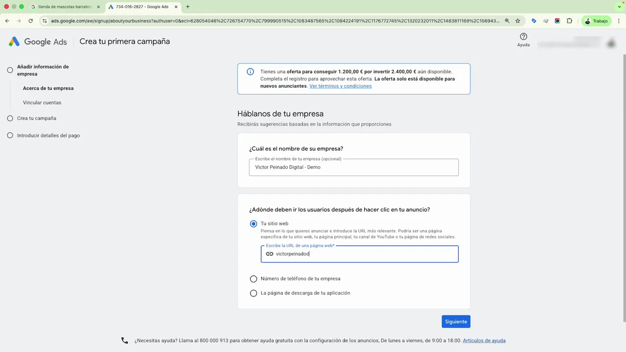 Google Ads mostrando el paso para ingresar el nombre de la empresa y la URL de destino