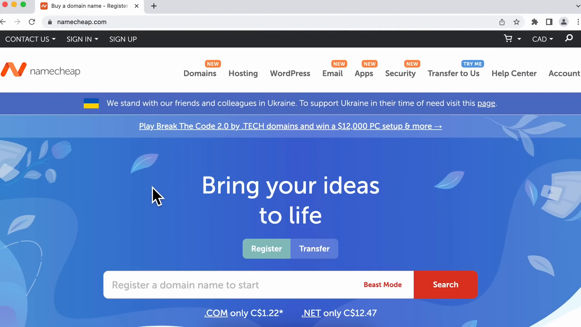 Searching for a domain name