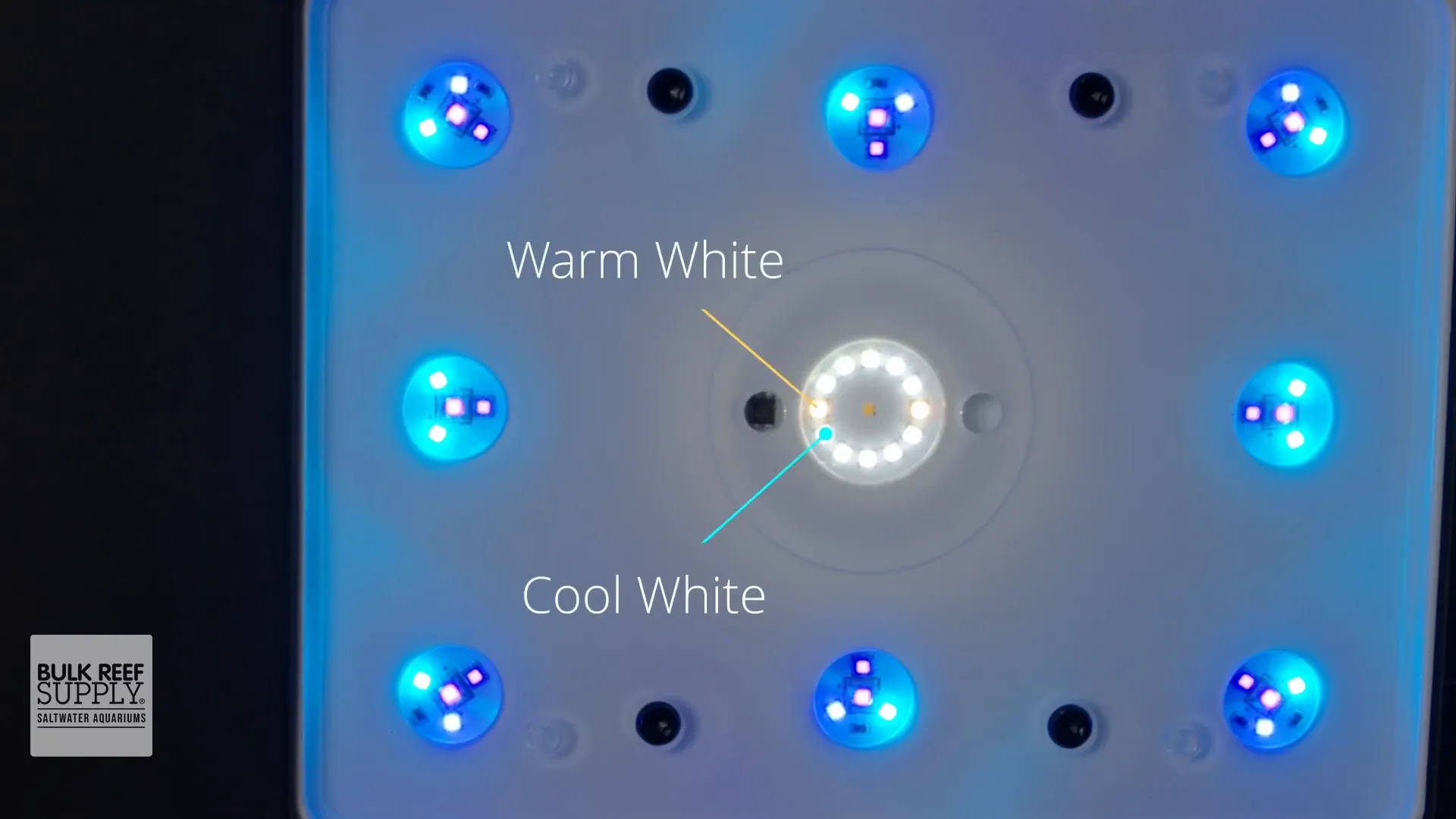 Solar ring with cool and warm white diodes plus moonlight