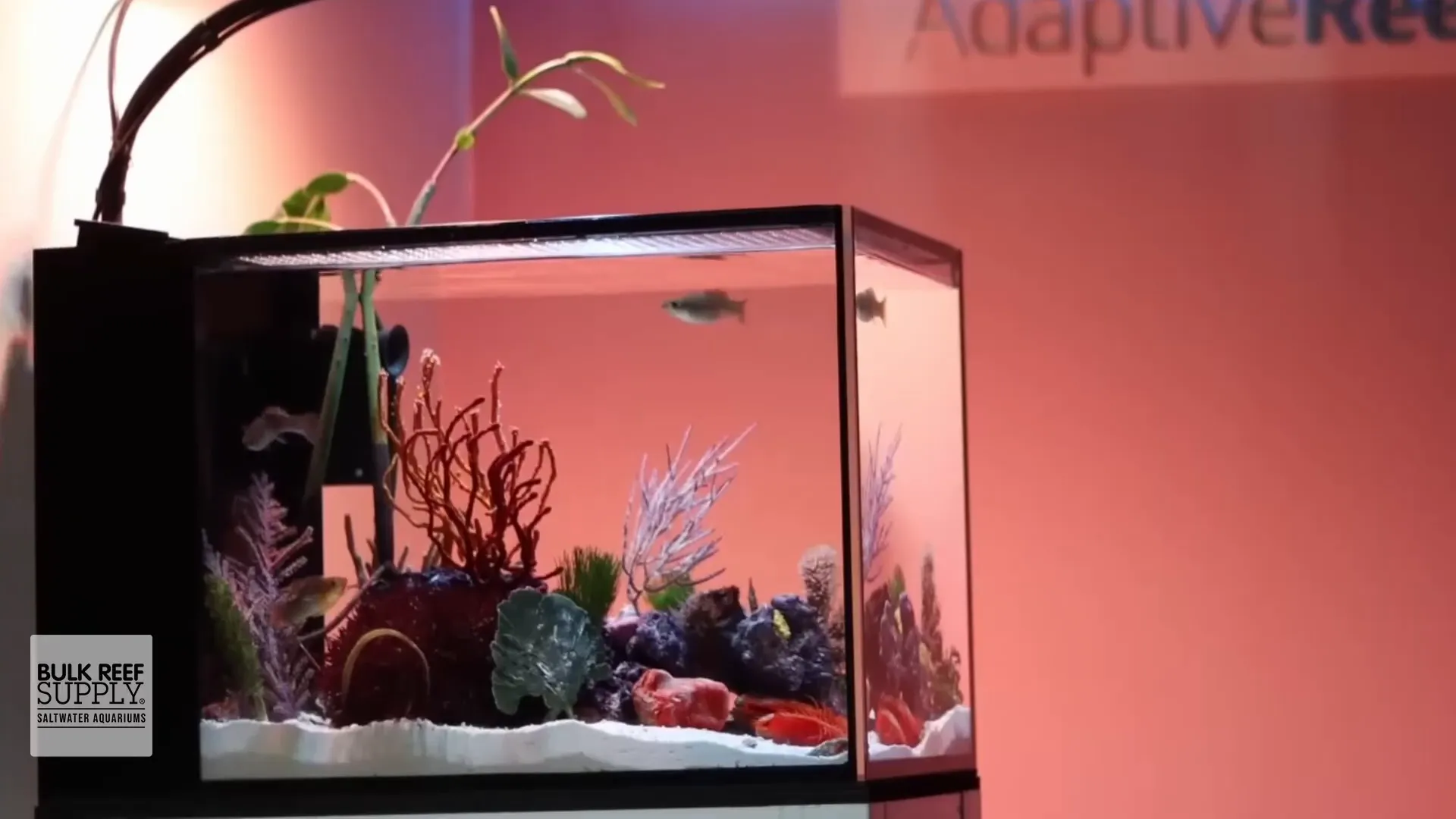 Preview of upcoming freshwater Hydra Edge 44HD