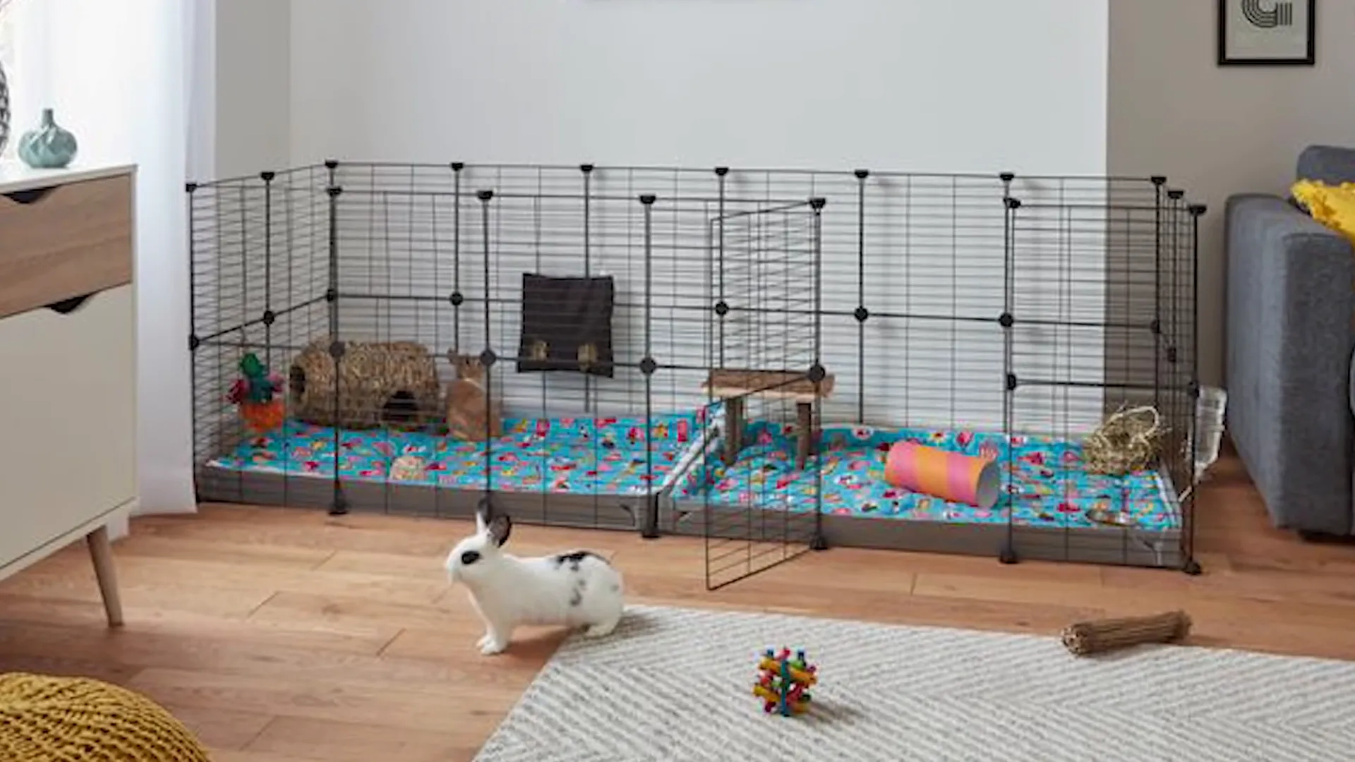 Large indoor guinea pig cage setup