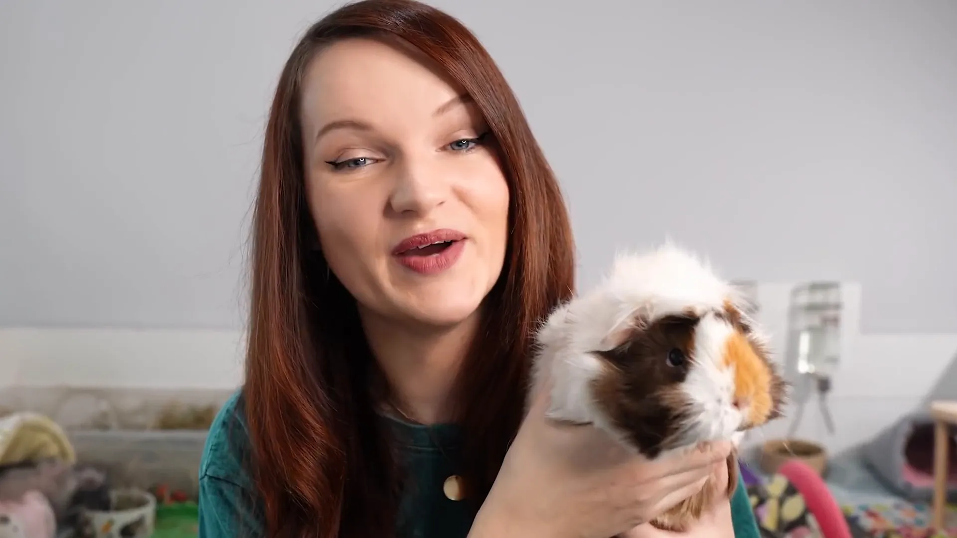 Happy guinea pig owner introducing the guide