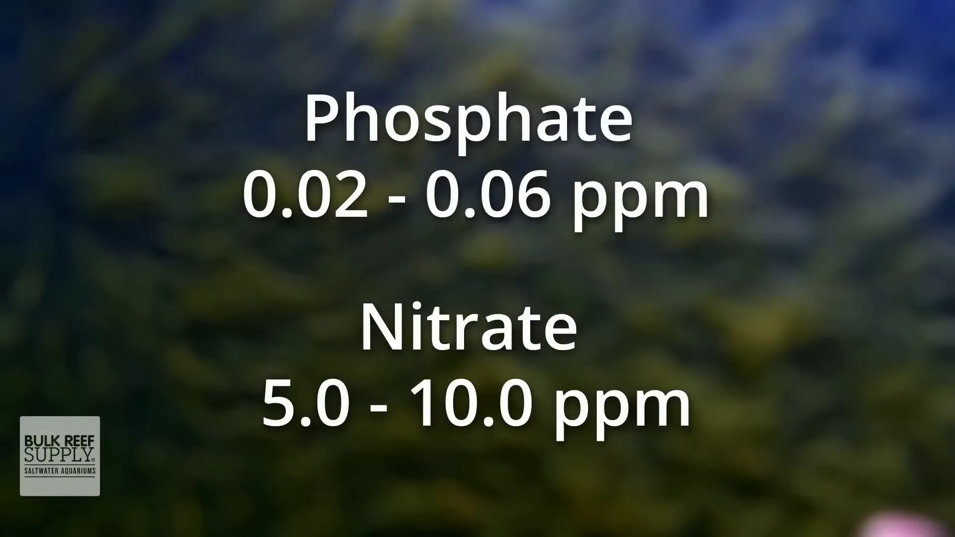 Nutrient levels in aquarium