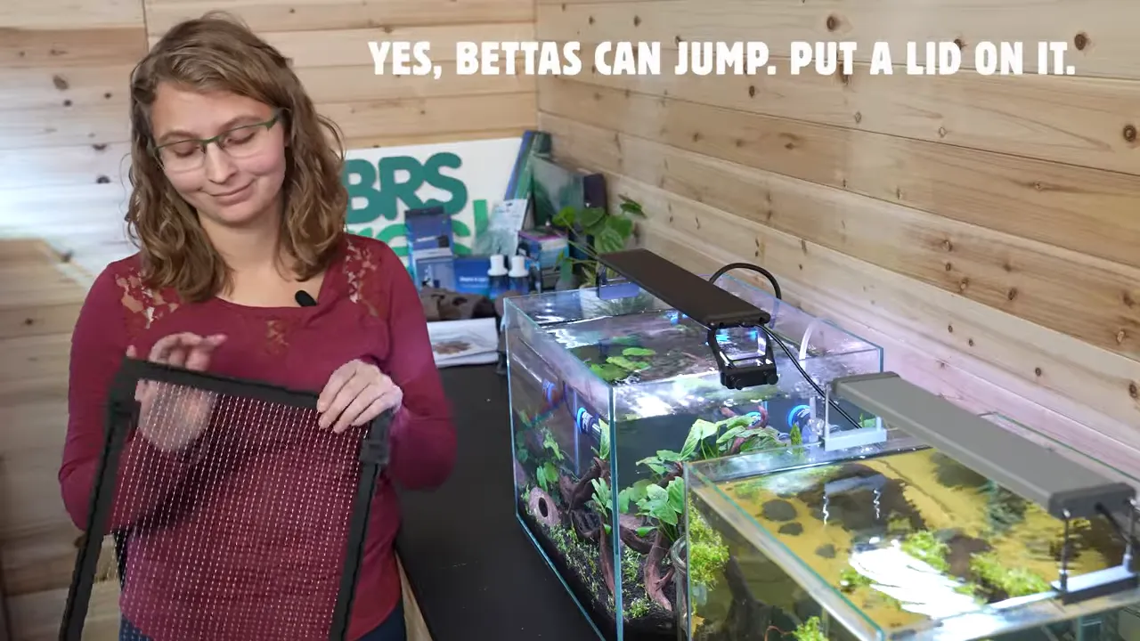 Mesh aquarium lid held in front of planted fish tanks