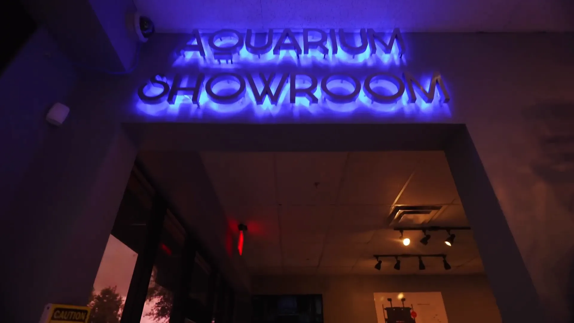 Entrance to Top Shelf Aquatics showing fish wall and coral display