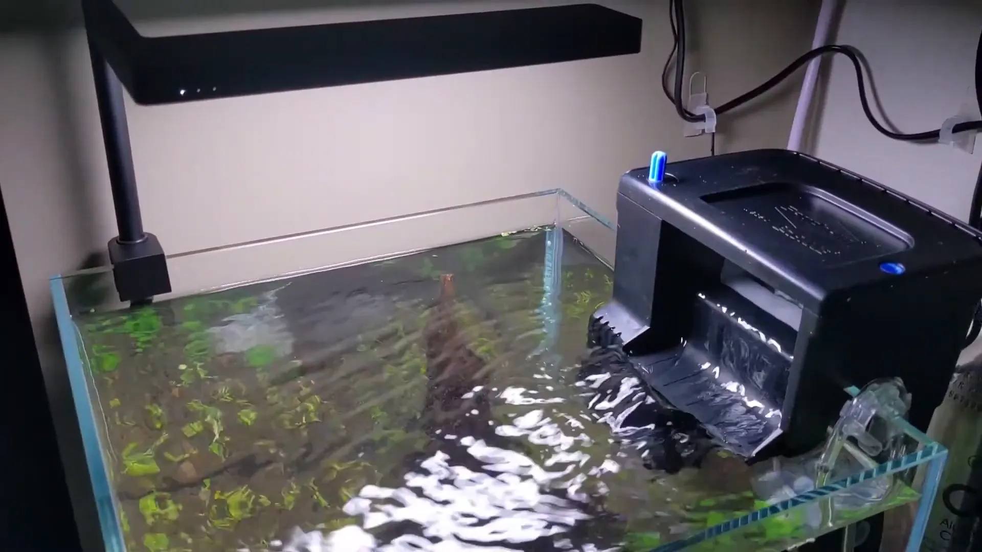 Seachem Tidal 35 installed on aquarium