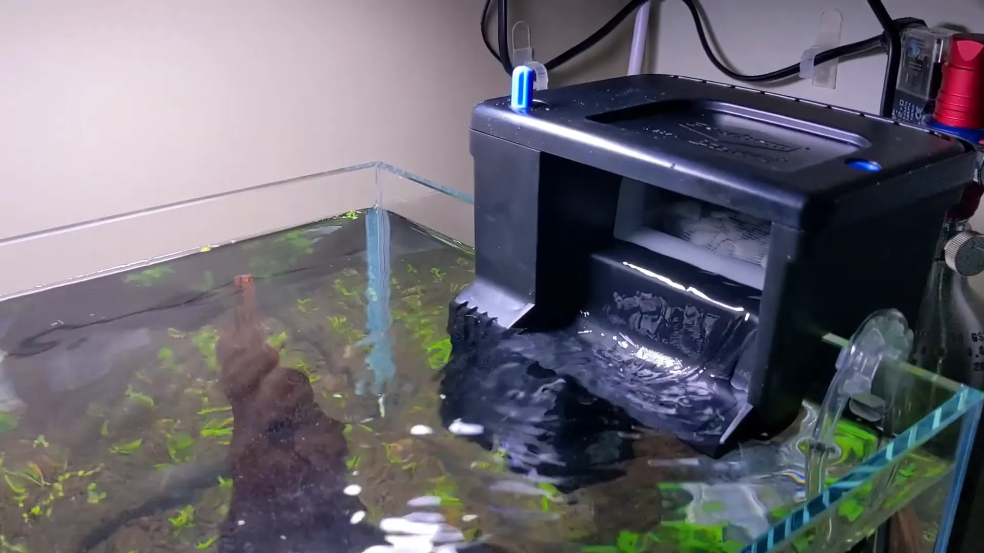 Close-up of Seachem Tidal 35 filter in operation