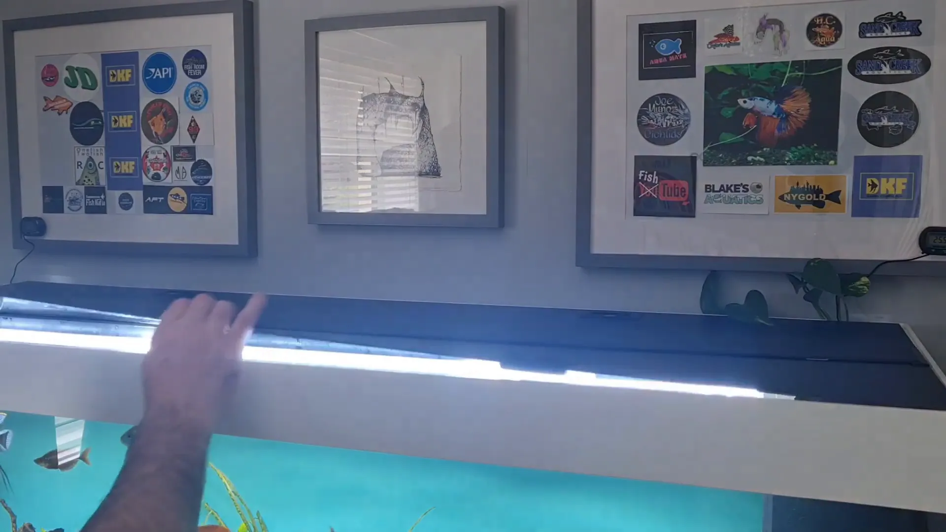 Two halves of the Juwel Rio Aquarium lid