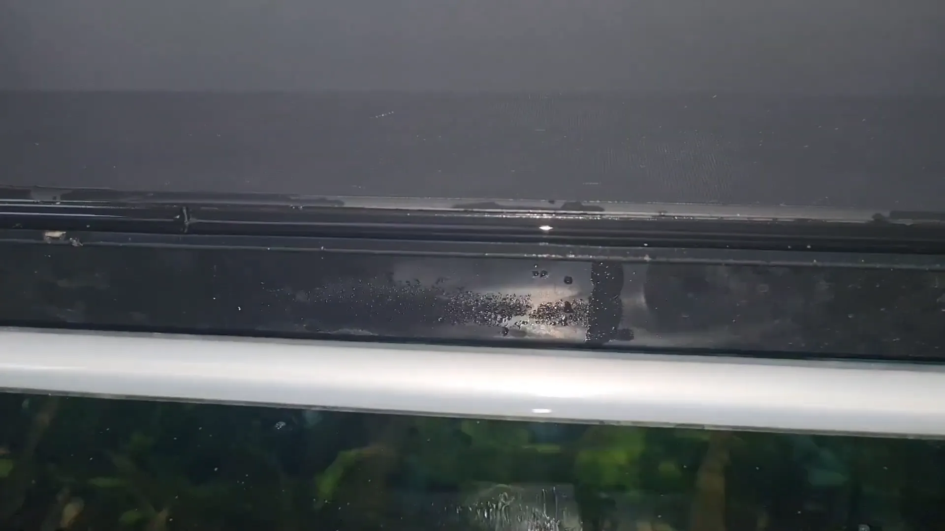 Water collected in the groove of the aquarium lid