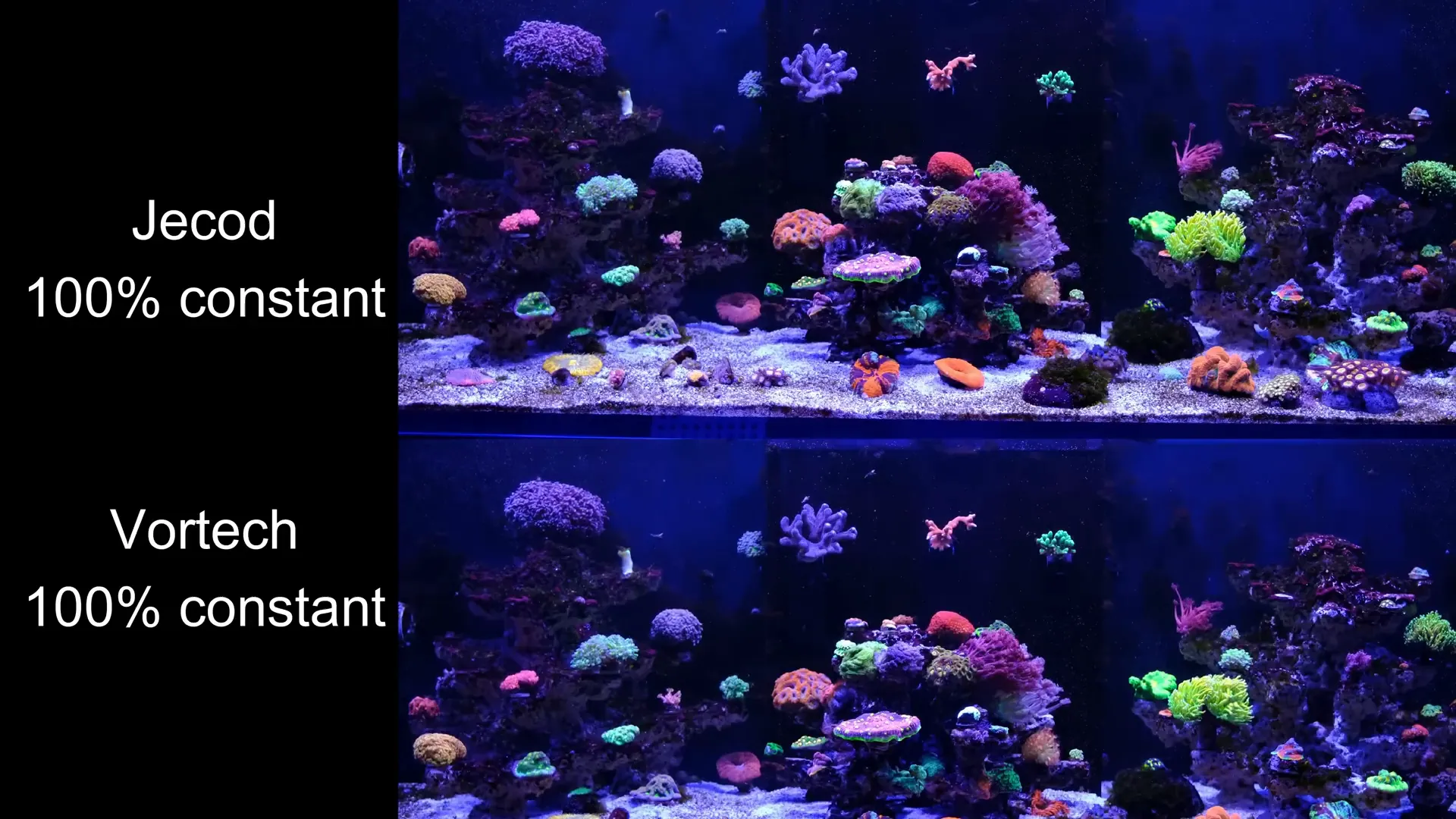 Side-by-side flow comparison of Jecod DMP 40 and Ecotech MP 40