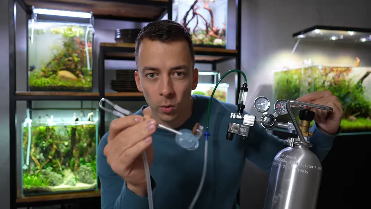 Aquarium with dark rocks, green foreground plants, and a glass CO2 diffuser on the right side