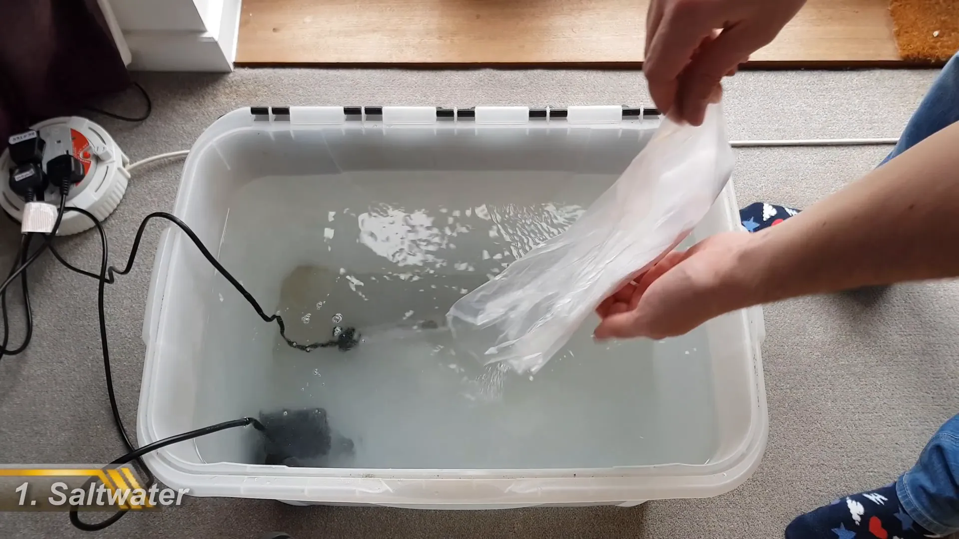 Testing water salinity for clownfish