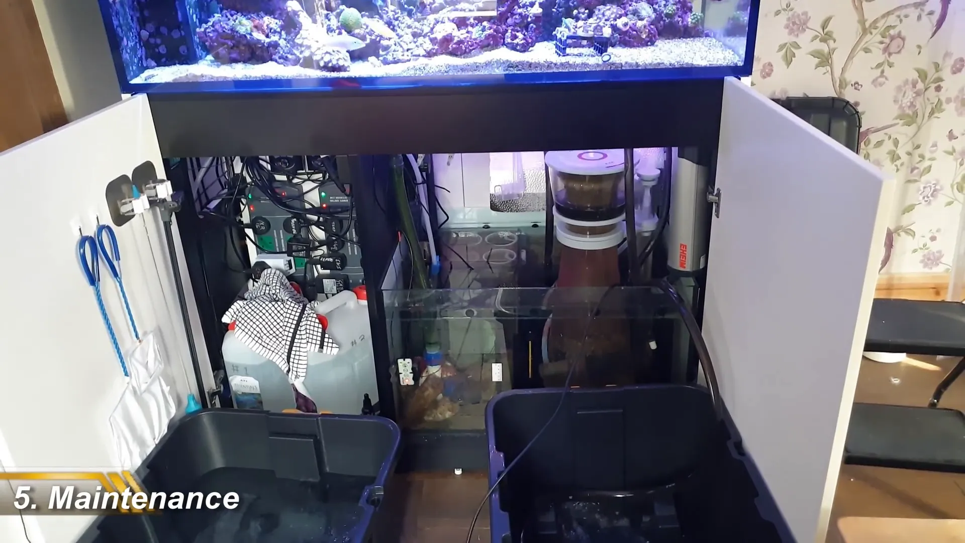 Cleaning algae off the tank