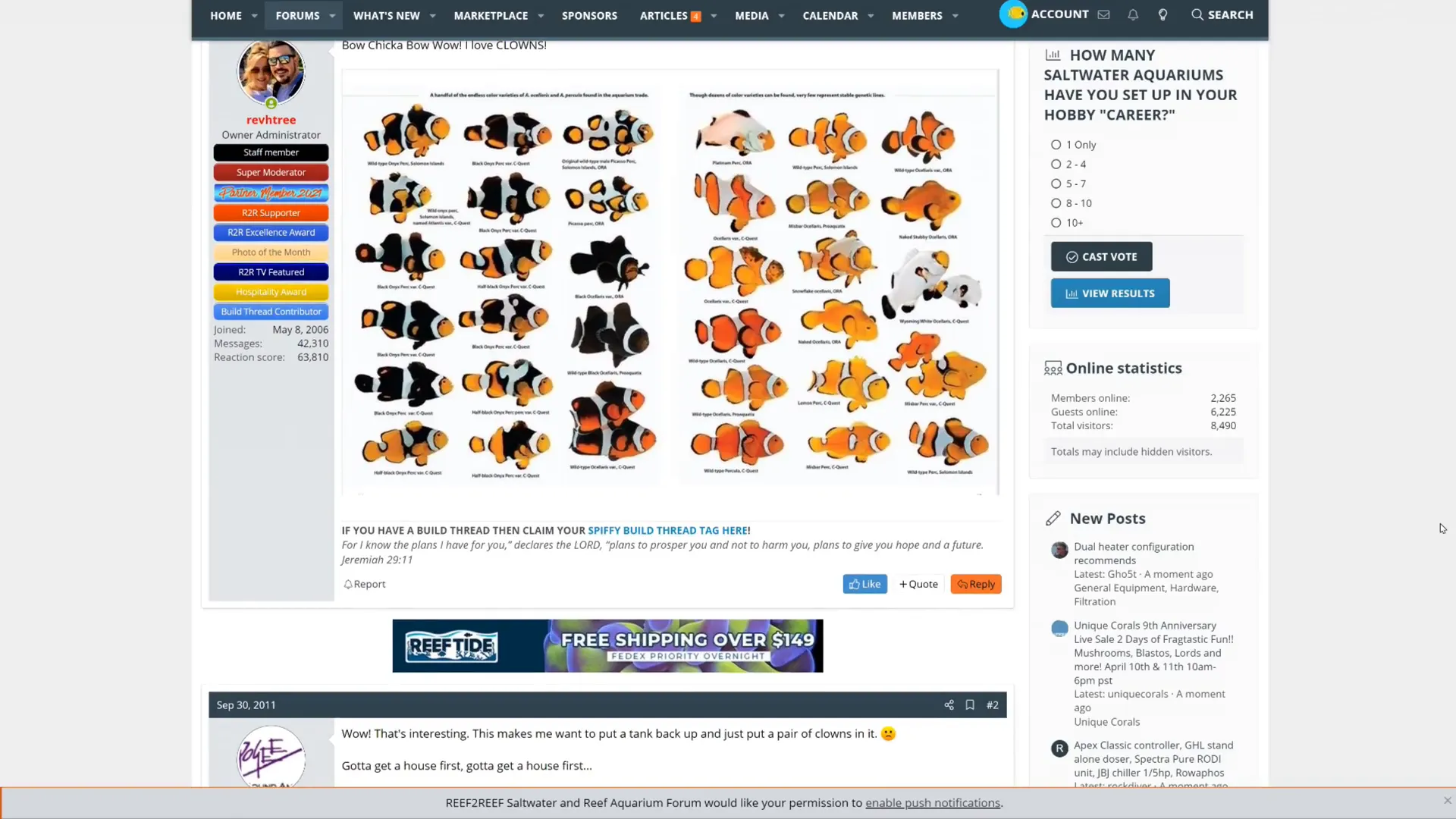 Variety of clownfish species