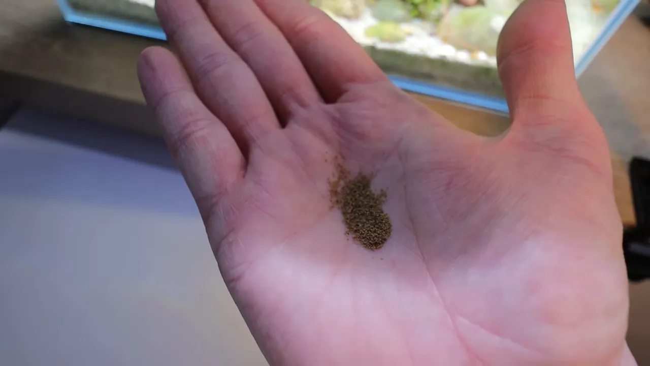 Small pile of betta fish pellets resting on an open hand