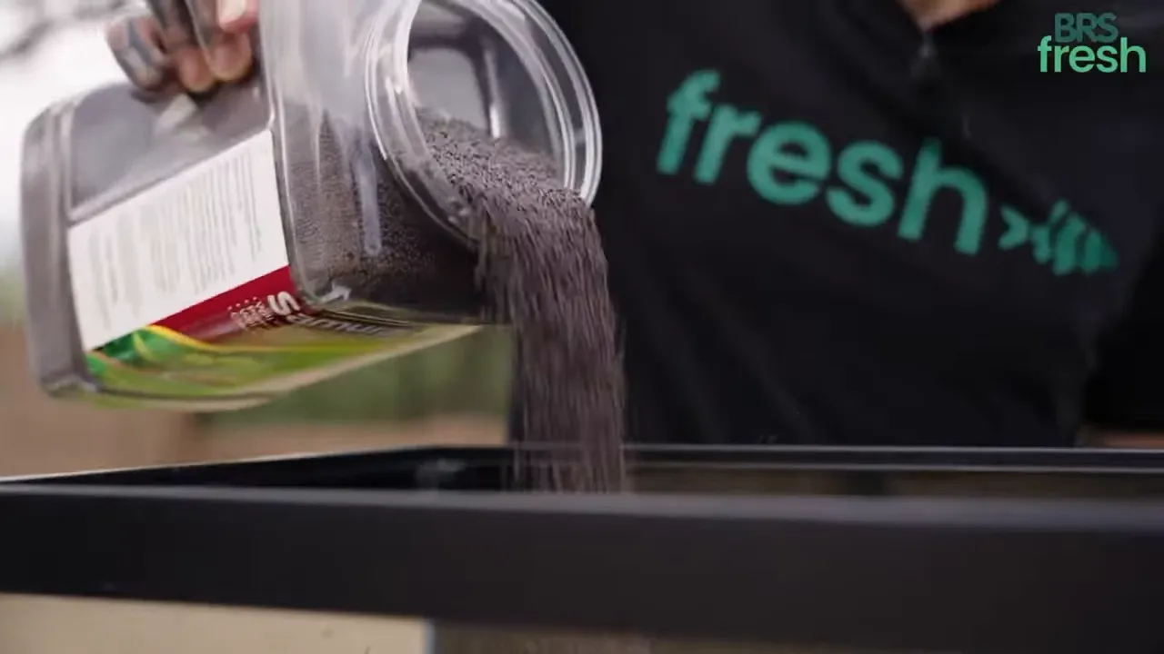Dark planted aquarium soil being poured into an empty glass tank