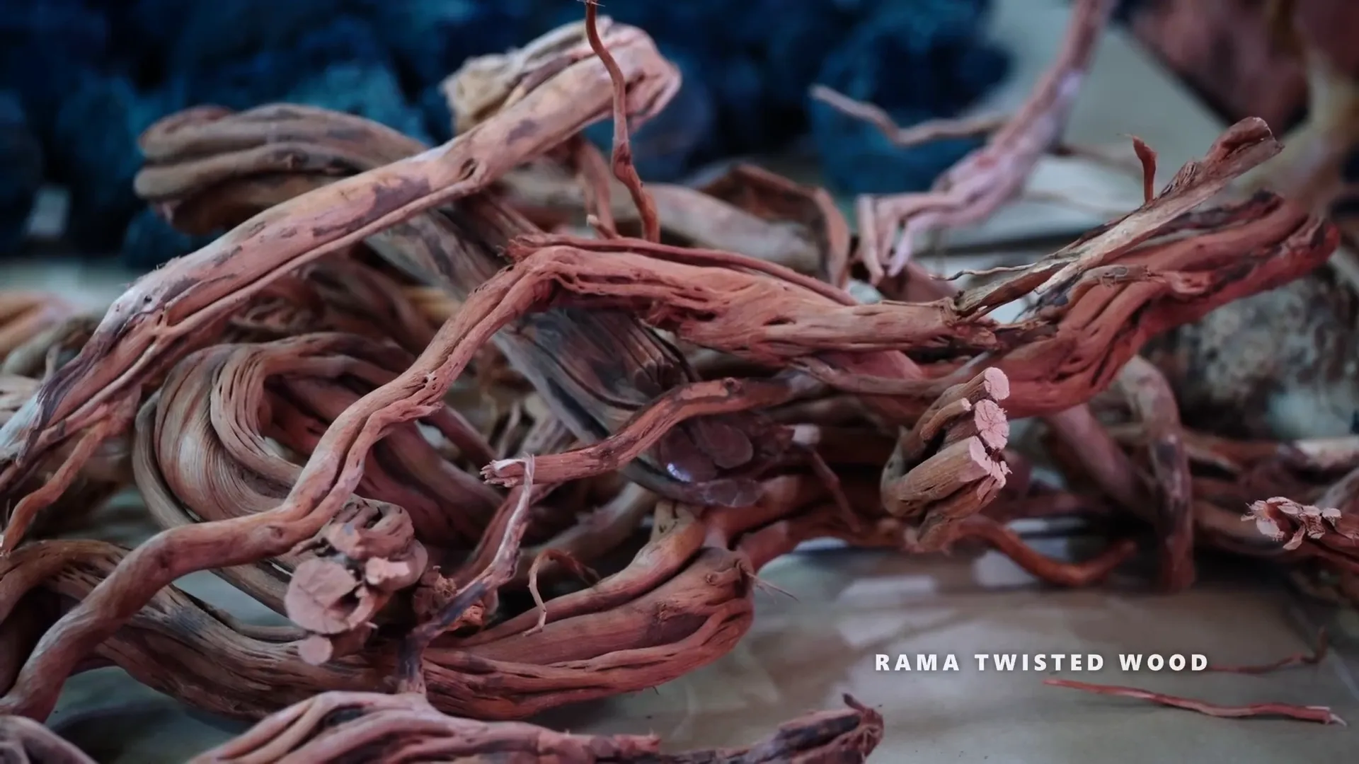 Hardscape materials including Rama twisted wood and lava stones