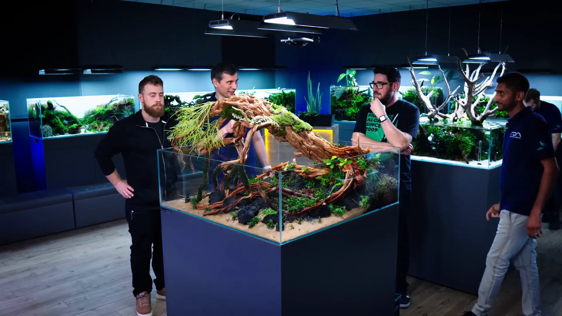 Completed aquascape with lush plants and detailed hardscape