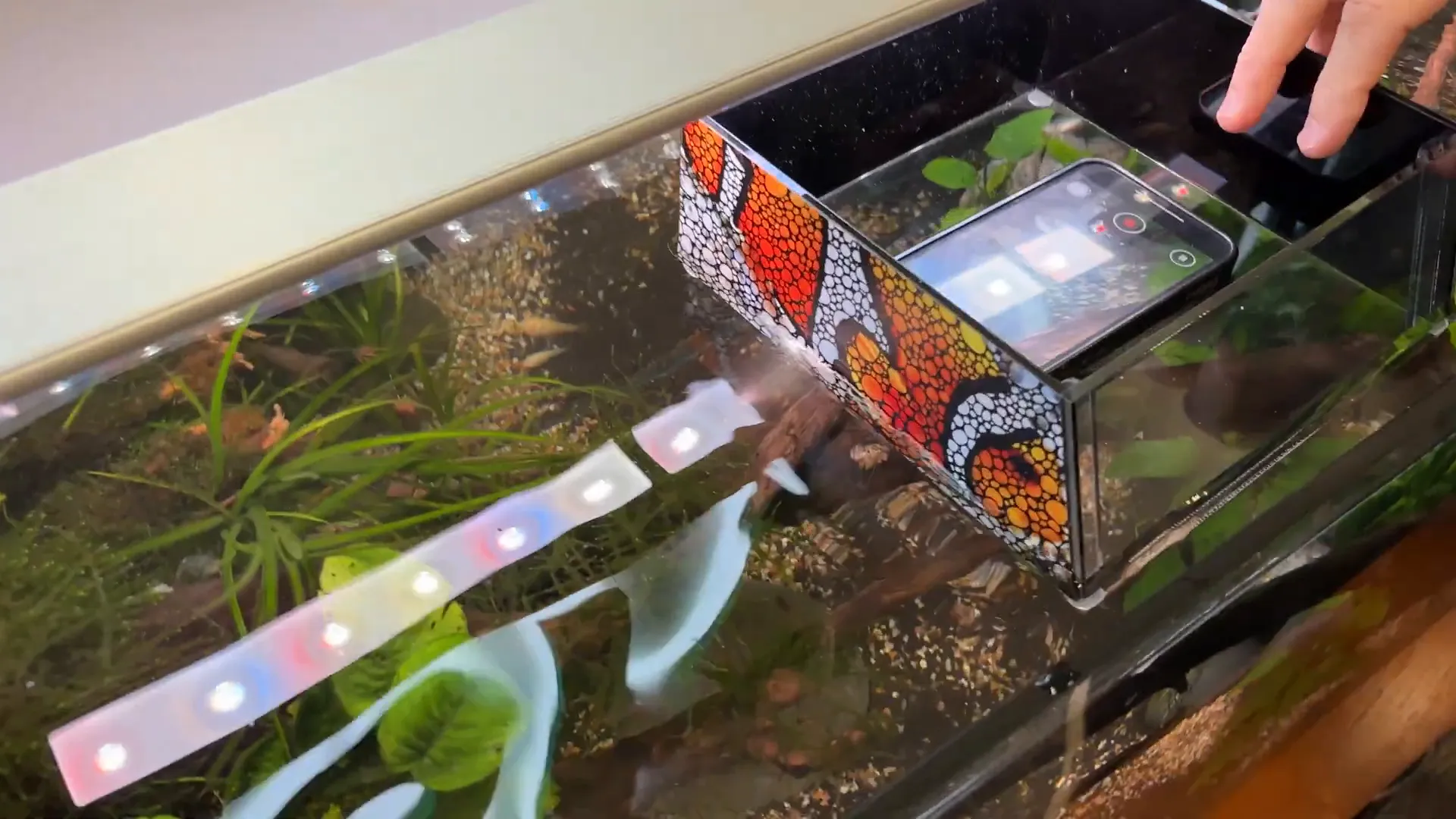 Look down box with smartphone for aquarium filming