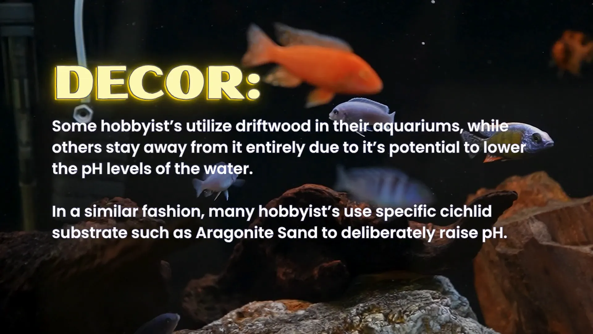 Sandy substrate and rockwork typical for Malawi tank