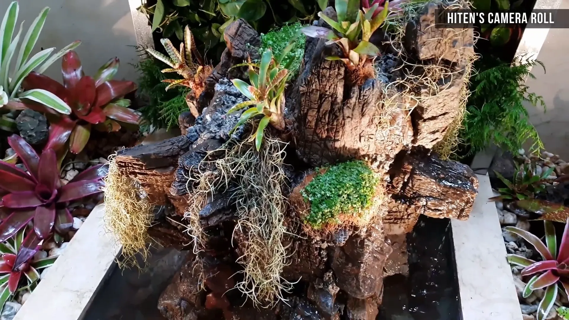 Living green wall installation using Epik stone