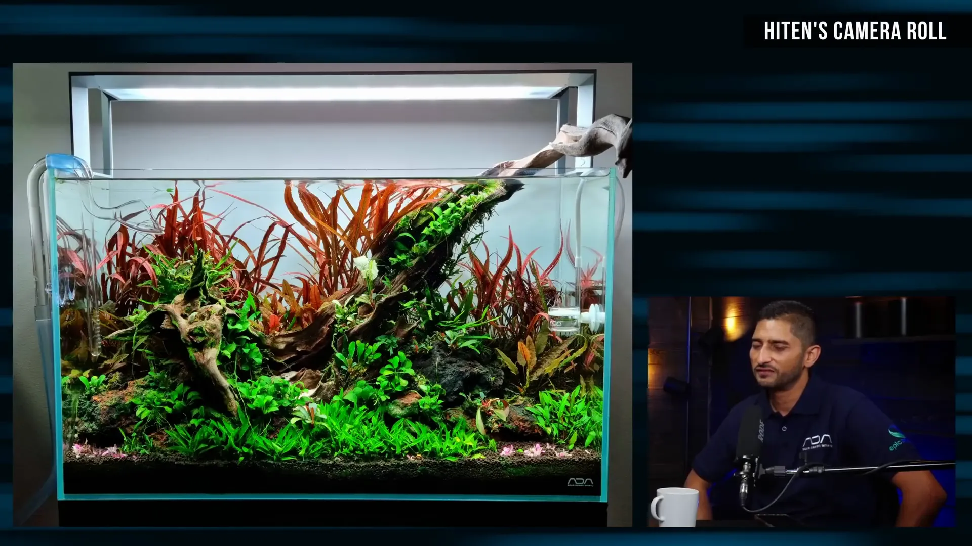 Hiten Goolab's home aquarium with slow-growing plants