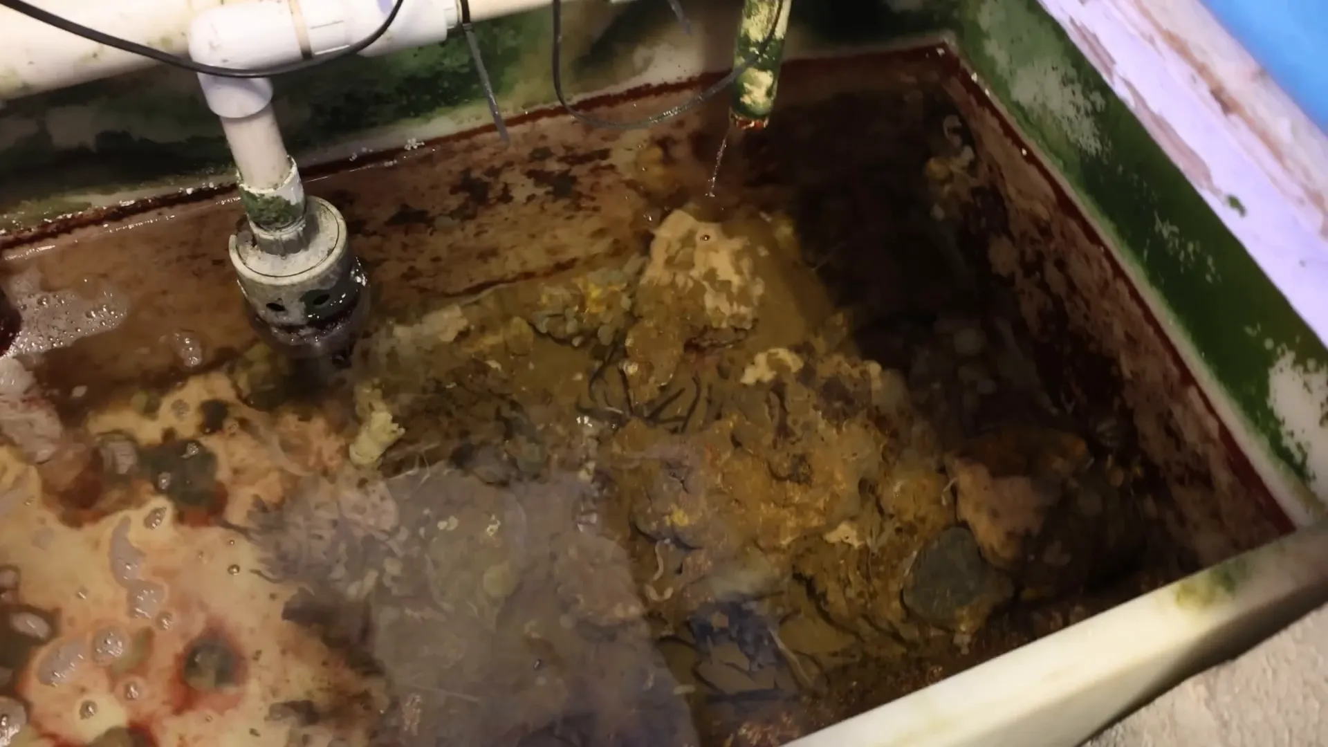 Simple sump system with live rock and bead filters at ORA