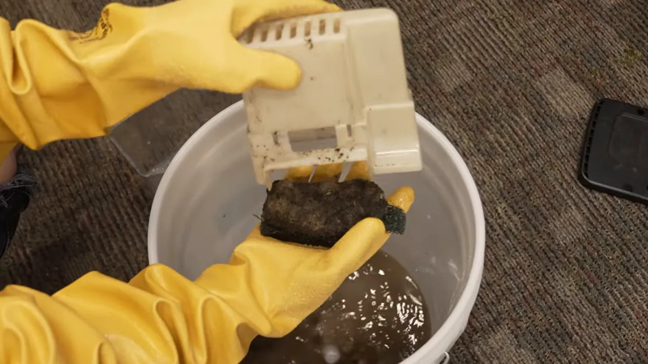 Yellow-gloved hands holding a filter sponge above a bucket of dark aquarium water