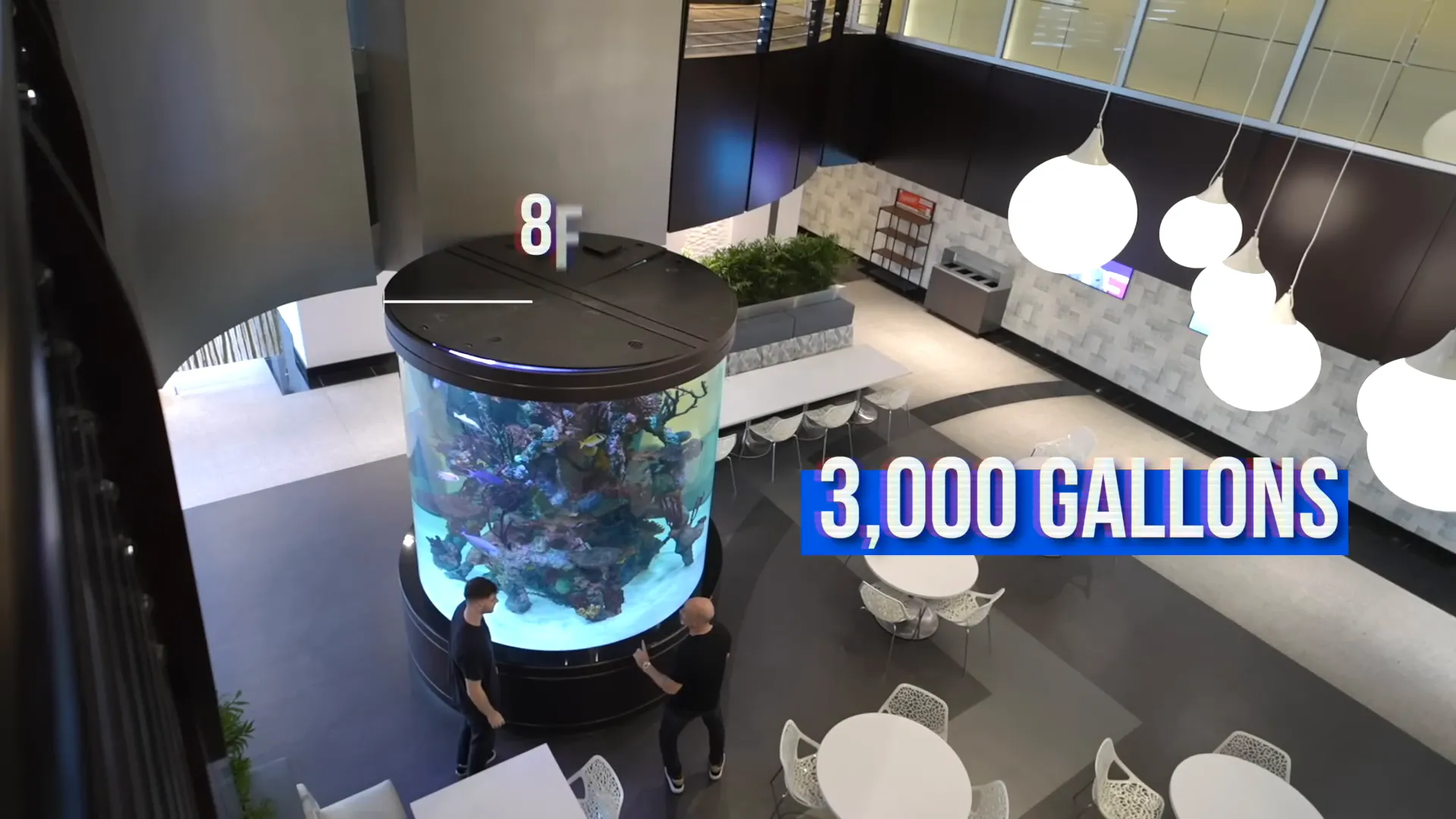 Massive 3000-gallon Christmas-themed aquarium